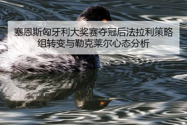 塞恩斯匈牙利大奖赛夺冠后法拉利策略组转变与勒克莱尔心态分析